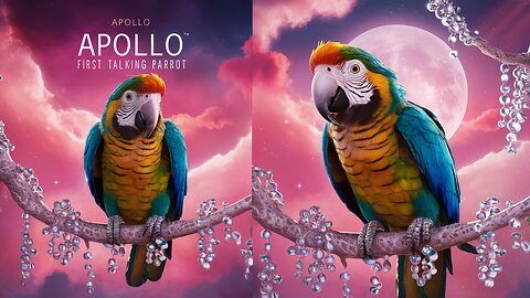 Apollo’s first “glass” talking parrot talking bird