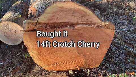 Solving An Ongoing Problem At The Sawmill & A Huge Cherry Tree