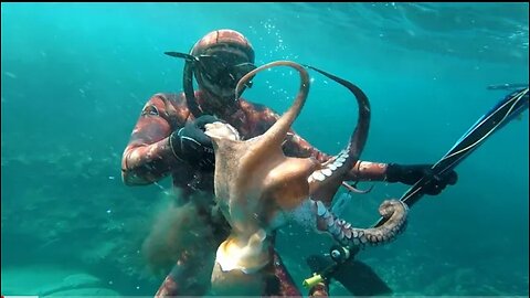 Challenge of catching octopus with different equipment