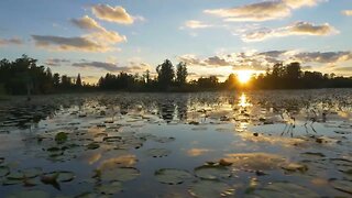 amazing swamp wetlands at beautiful golden summer SBV 306983772 HD