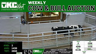 1/30/2023 - OKC West Weekly Cow & Bull Auction