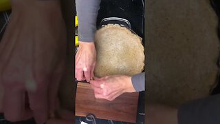 Fresh Ground Wheat Berry Pie Crust!🥧😃👍#shorts #viral #trending #shortsvideo ￼#pie