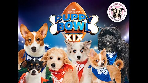 PUPPY BOWL XIX & Civilization VI