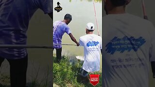 Bangladeshi fish 💪👌 #shorts #shortsvideo #fishingvideos