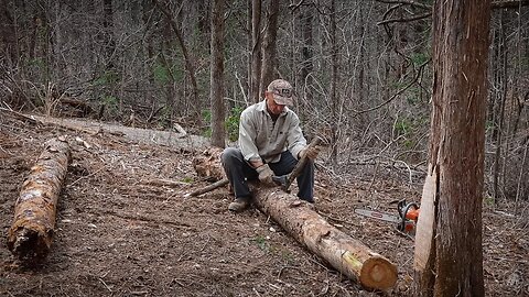 DIY BED FOR PIG PEN | RAISED BED GARDENING | OFF GRID TIMBER FRAME HOMESTEAD