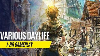 Various Daylife - 1 Hour Gameplay - Nintendo Switch