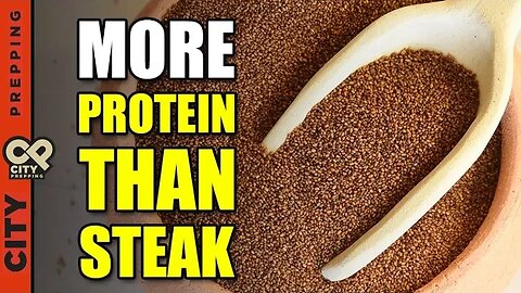 High Meat Prices! 47 Affordable High Protein Alternatives (Recipes Included)