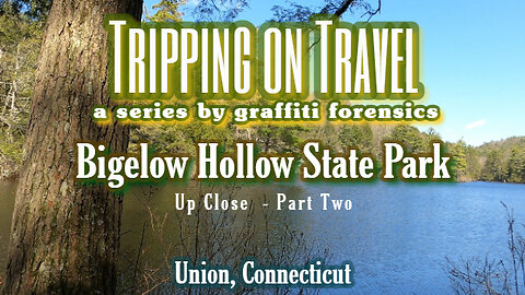 Tripping on Travel: Bigelow Hollow State Park, pt 2, Union, CT