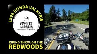 Riding My valkyrie Through the California Redwoods