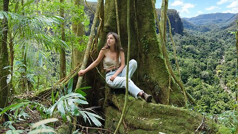 Discovering a Hidden Rainforest in an Ancient Volcano Crater