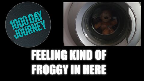 1000 Day Journey 0292 Felling Kinda Froggy