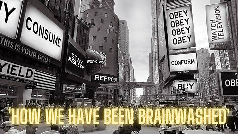 How We Have Been Brainwashed - Paul Chek