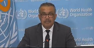 WHO's Tedros says "we must prepare" for a potential H5N1 human bird flu pandemic.