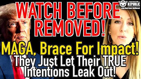 Democrats Intentions Now Clear - Maga, Brace For Impact - They Just Let It All Leak Out