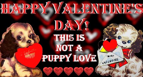 Donny Osmond - Puppy Love - Happy Valentine's Day - Video card - From Happy Birthday 3D