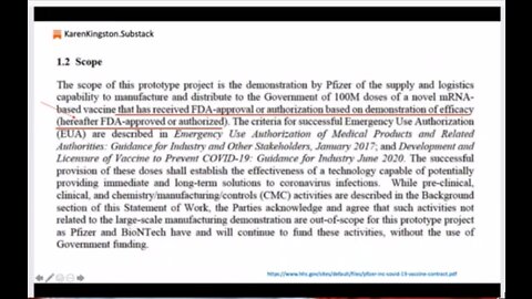 Pfizer CV19 Bioweapon Vax Public Enemy #1 - Karen Kingston