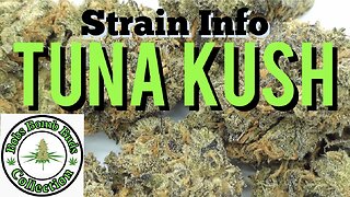 Tuna Kush, Cannabis Strain (Tuna OG, BC Tuna)