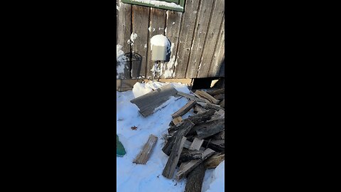 Molly and I loading firewood at the cabin