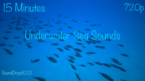 Breath Taking 15 Minutes Of Underwater Sea Sounds