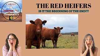 Episode # 28 - 5 Red Heifers 😊 | Should the world celebrate 🥳