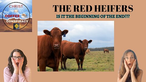 Episode # 28 - 5 Red Heifers 😊 | Should the world celebrate 🥳