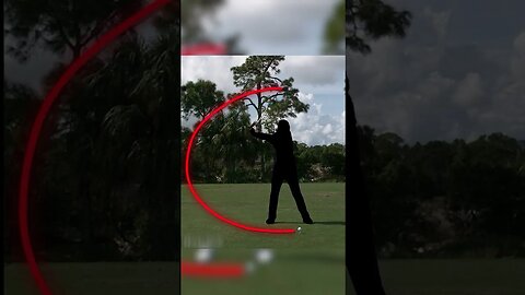 Can You Name This Golfer By His Golf Swing | Golf Essentials #golf #golfessentials #shorts