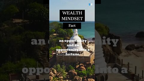 A WEALTH MINDSET MEANS THAT YOU CAN TURN A RISK INTO... #shorts