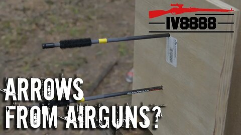 Arrows from Air Rifles?