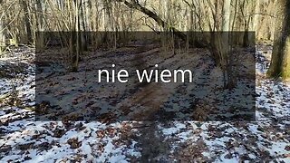 nie wiem