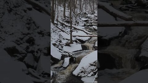 Smokey Hollow On The Bruce Hiking Trail #shorts #short #hiking #waterfalls