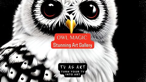 Stunning Owl Drawings: 😍 Magic Moonlight 🌙 1Hr of 4K HD @tvasart #viral #subscribe #OwlDrawings