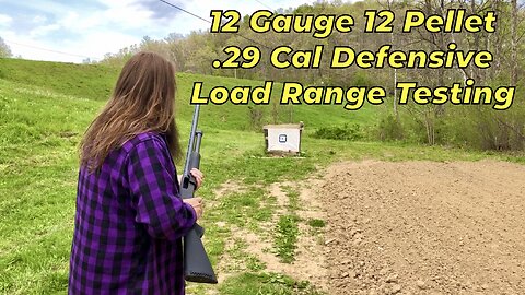 12 Gauge 12 Pellet .29 Cal Buckshot Range Testing