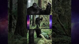 Are Sasquatches inter-dimensional beings, who shift in and out of this 3D Reality? #bigfoot #yeti