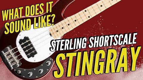 Shortscale StingRay Tone that Won't Break the Bank!