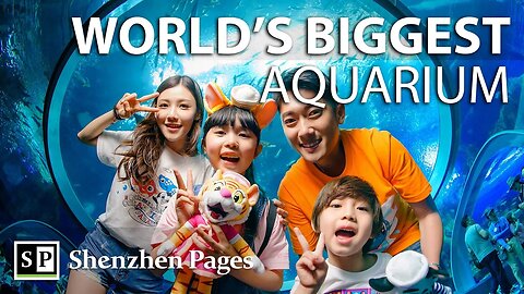 World's BIGGEST aquarium at Chimelong Ocean Kingdom in Zhuhai