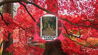 Strawberry Garden - Jason Dunn || Chillout Music Video