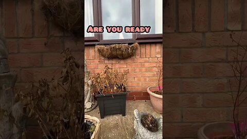 FRIGHTENING MUM WITH JUMP SCARE!! 🤣 #shorts #jumpscare