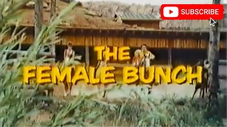 THE FEMALE BUNCH (1971) Trailer [#thefemalebunch #thefemalebunchtrailer]