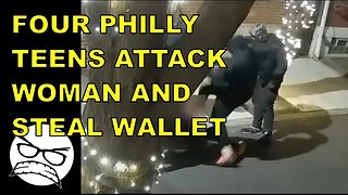 Four male teens attack woman and steal her wallet. No one is surprised. Another day in Philly.
