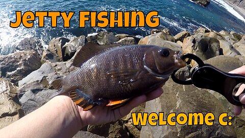 How To Fish The Jetty :D! Dana Point, CA