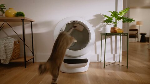 Never Scoop Again® Litter-Robot Makes Cat-Life Easier By Removing The Chore Of Scooping.
