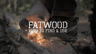 Fatwood for Beginners