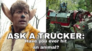 Have I ever crashed into an animal? Ask a Trucker, ep007