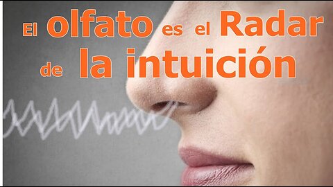 CUIDA TU OLFATO PORQUE ES IMPRESCINDIBLE PARA DIRIGIR TU VIDA HACIA EL ÉXITO Y PROSPERIDAD