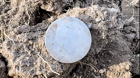 1834 King William IIII Sterling Silver On The Goldfields