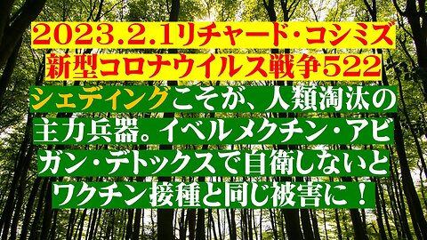 2023.02.01 リチャード・コシミズ新型コロナウイルス戦争５２２