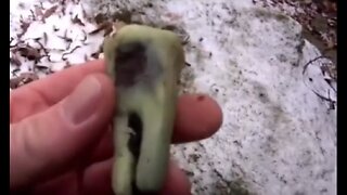 DNA Results of Purported Giant Tooth