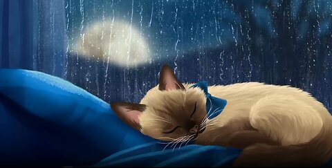 Rain Sounds With Sleeping Cat : White Noise,Sleep,Studying,Relaxation,Meditation,Rain Sounds