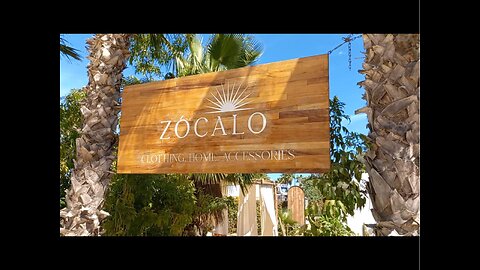 ZOCALO started in a tiny village in Mexico in 2013 called Pescadero