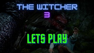 The Witcher 3: Wild Hunt/Part 5